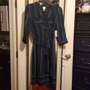 NWT Dark green stripped dress